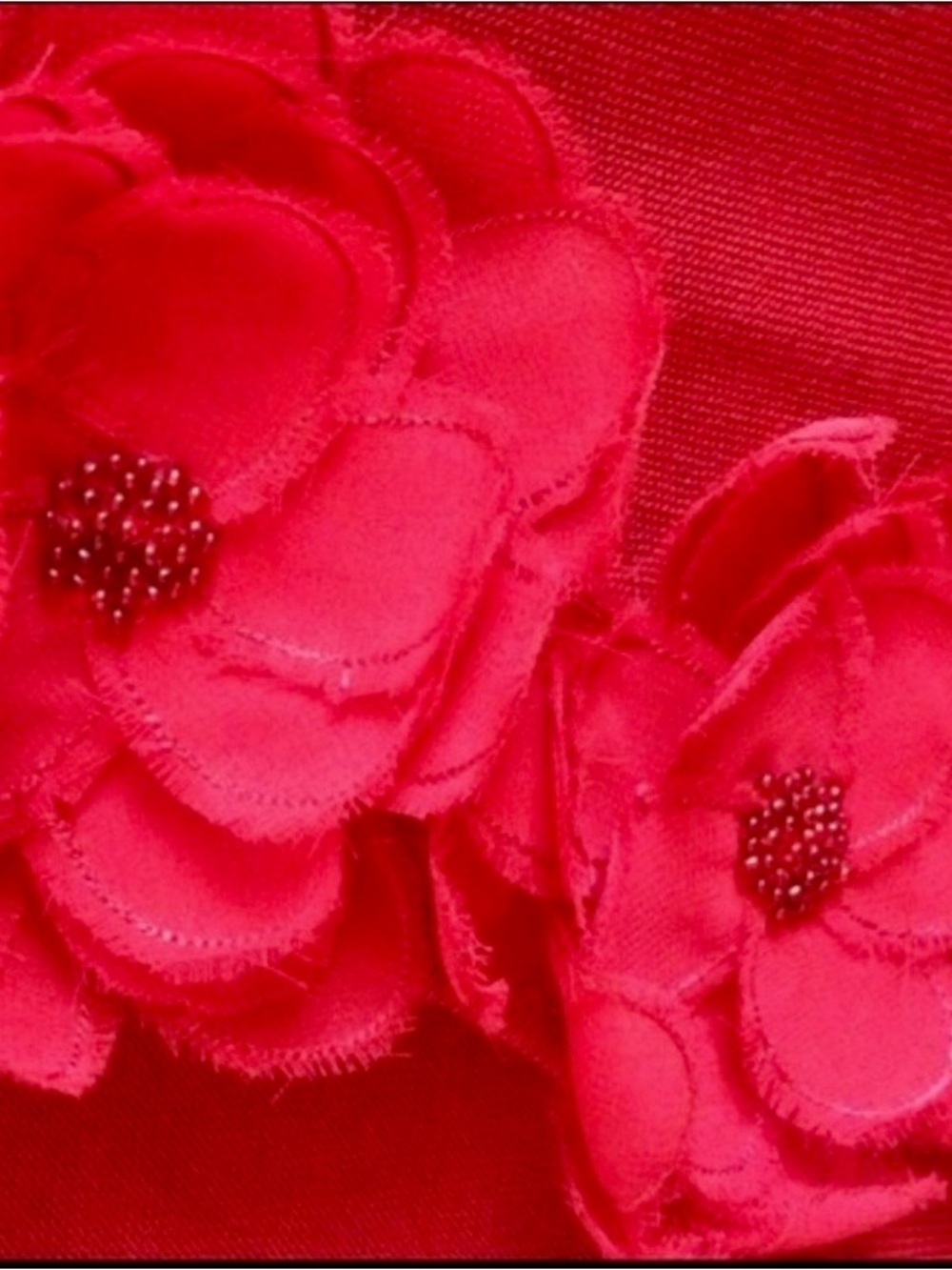 🔴 Sleeveless Red Floral Appliqué V-Neck Top - Picture 5 of 6